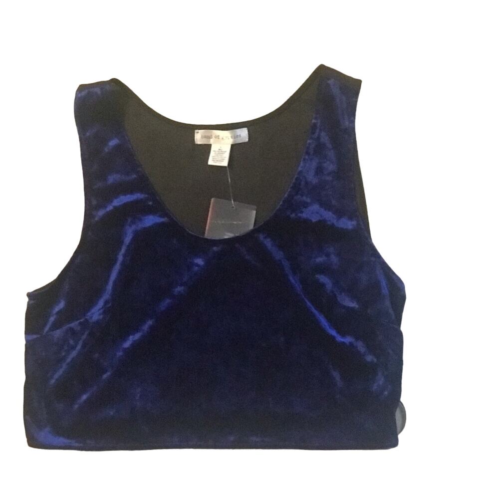 Blue Velvet Crop Top
